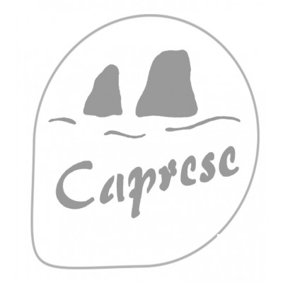 Stencil per torte Caprese (mask r10) Martellato