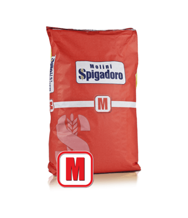 Farina tipo "0" manitoba Spigadoro 25 Kg