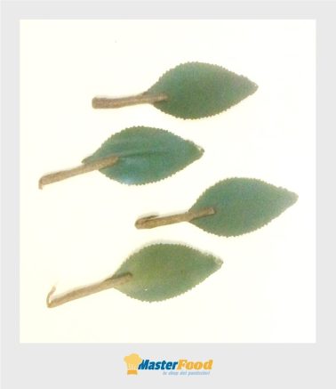 Foglie prugna stelo decorativo pz.100