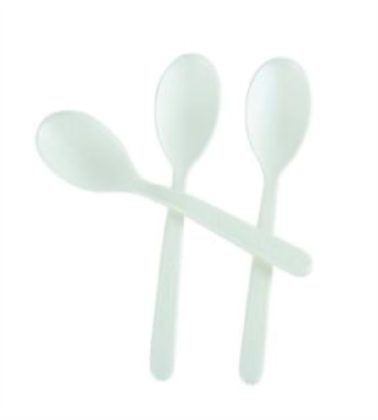 Cucchiaino bio-eco c-pla cm 10,5 pz.100 Imballaggi