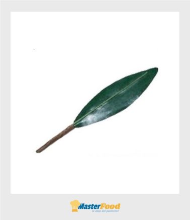 Foglie pesca stelo decorativo pz.100